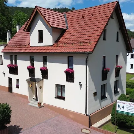 4 Sterne Ferienwohnung Sorbitztal Rohrbach  Exterior foto